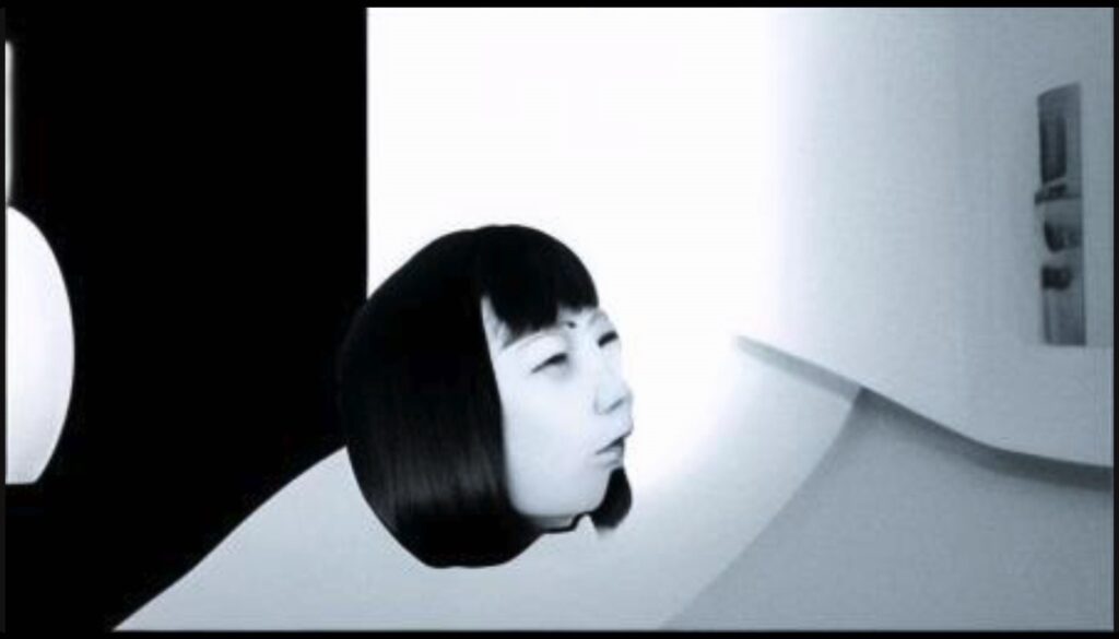 tinywow vanitas variation 2c 44181488